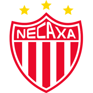 内卡沙女足